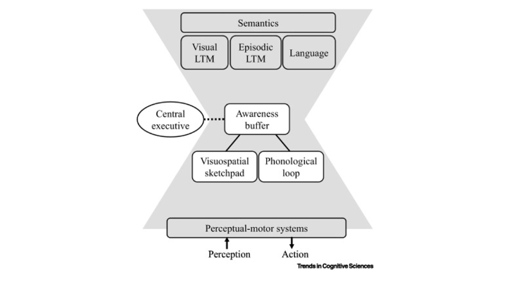 Spatial Cognition in ASD